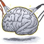 Clear Brain Fog with Chiropractic Care